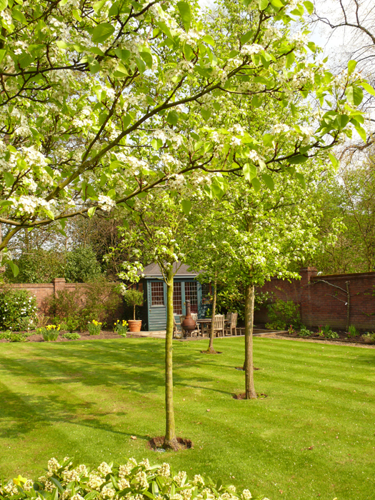 Garden Maintenance in Leek Garden Maintenance in Leek