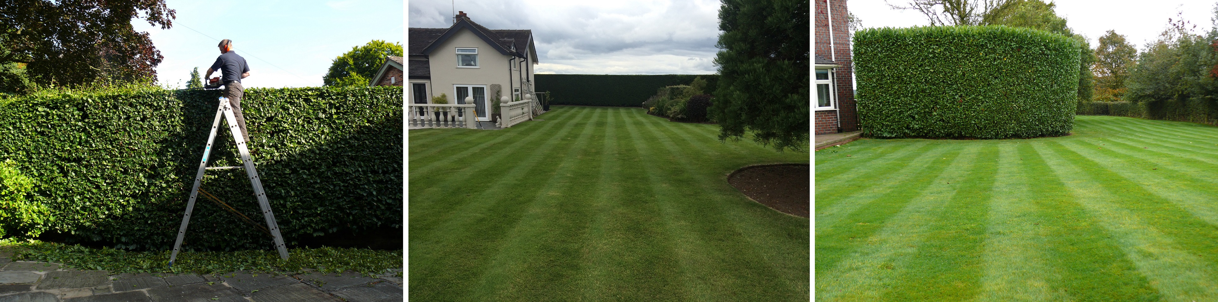 Hedge Cutting in Knutsford, Cheshire