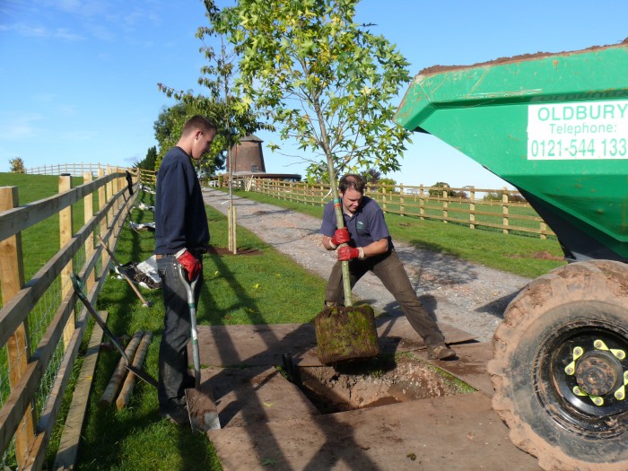 Planting Tree's, Rugeley, Staffordshire Planting Tree's, Rugeley, Staffordshire