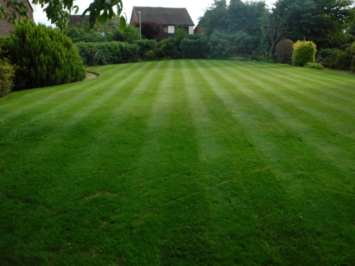 Professional Gardener in Market Drayton - Lawn Mowing Professional Gardener in Market Drayton - Lawn Mowing
