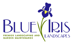 Blue Iris Logo