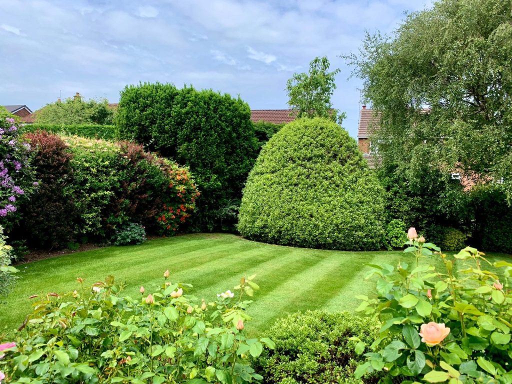 professionally maintained garden