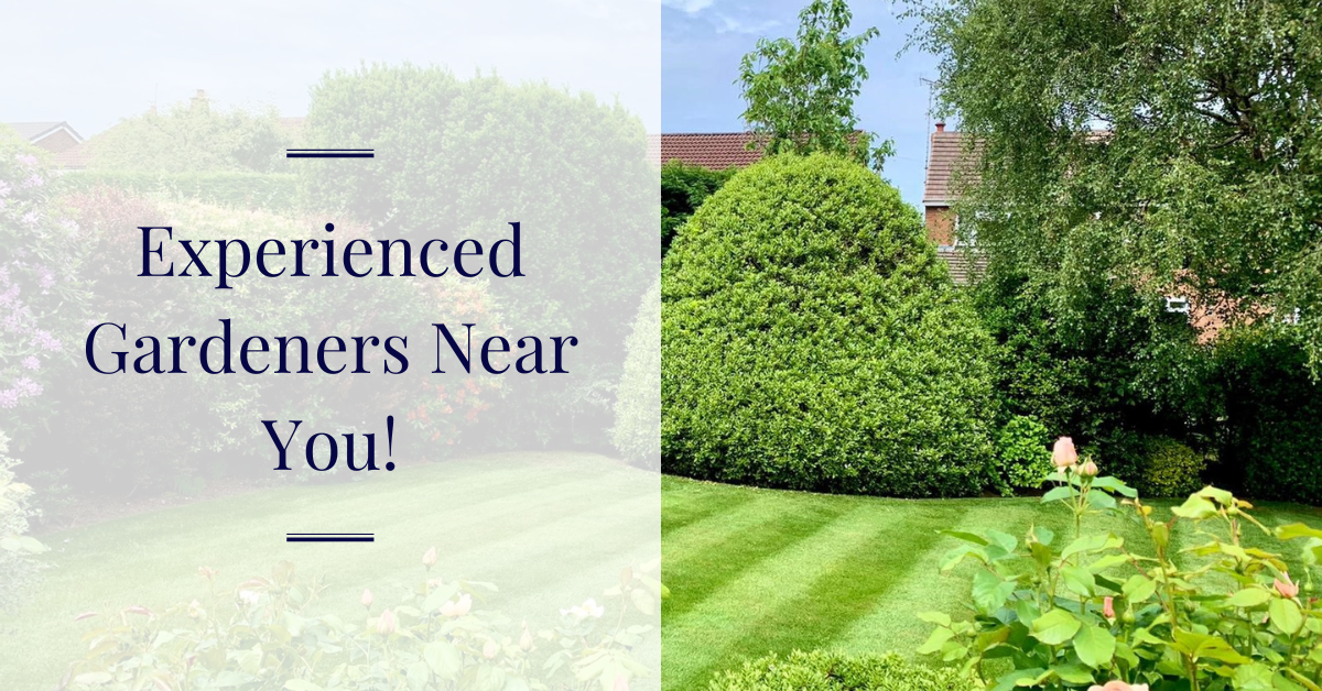 Experienced Gardeners Near You