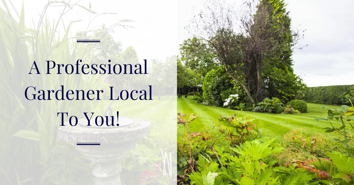 A Professional Gardener Local To You
