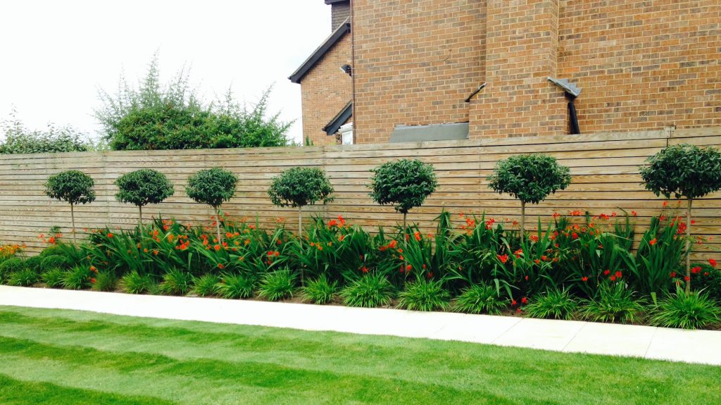 Blue Iris Landscapes Garden Maintenance and Landscaping | Blue Iris Landscapes Blue Iris Landscapes Garden Maintenance and Landscaping