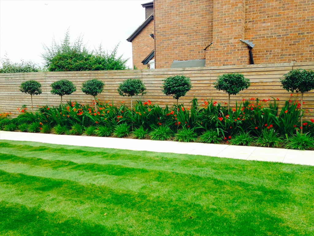 Professional Gardener in Blythe Bridge