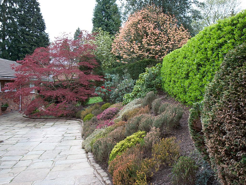 Professional Gardener in Trentham
