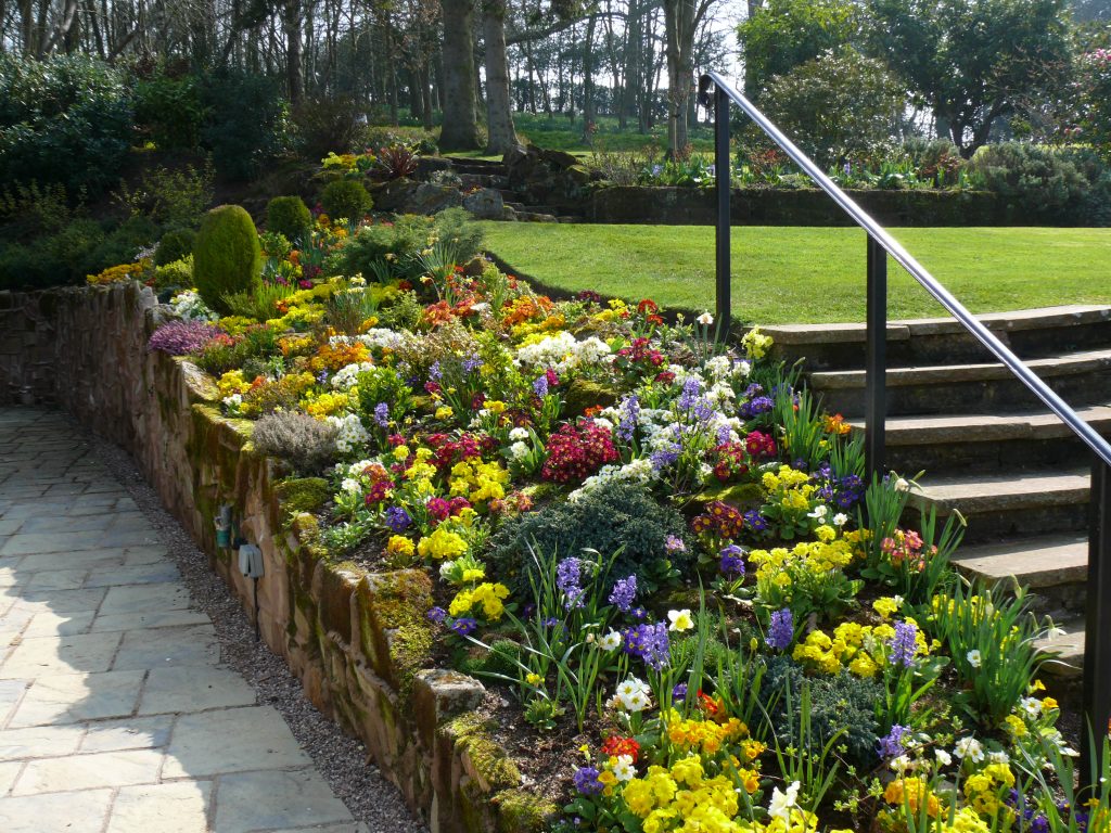 Garden Maintenance in Staffordshire and Cheshire | Blue Iris Landscapes Garden Maintenance in Staffordshire and Cheshire