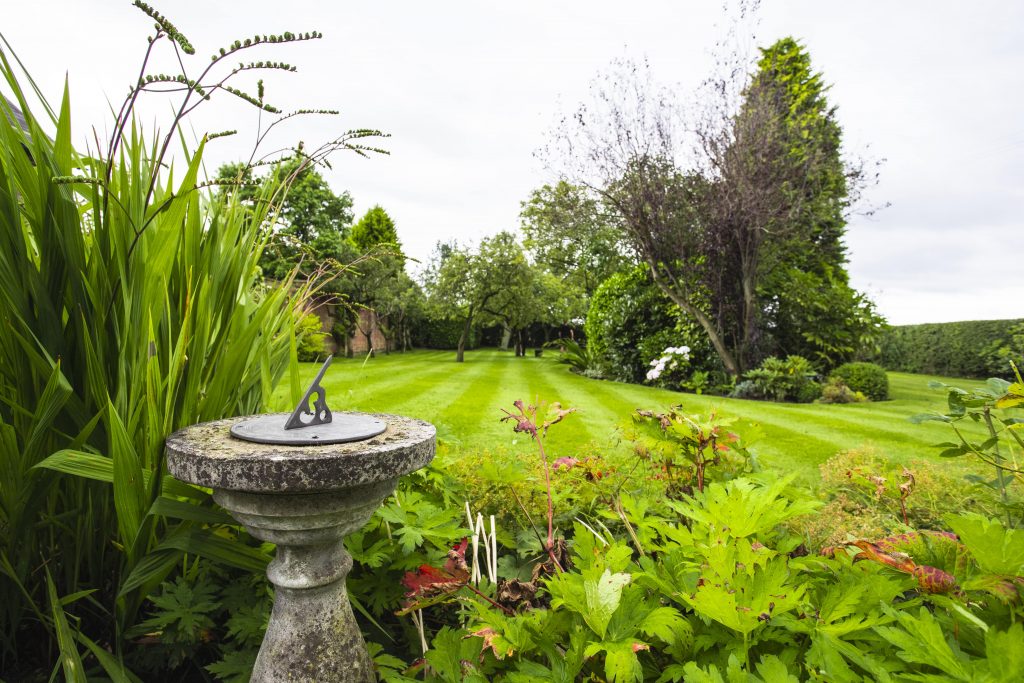 Manicured Lawn