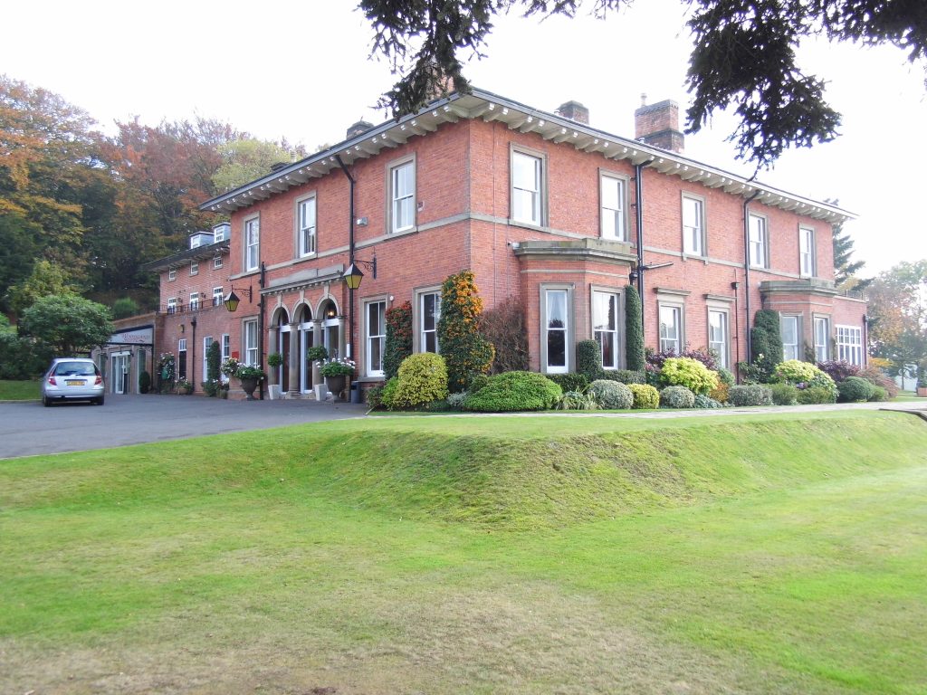 DSCI0355 | Blue Iris Landscapes