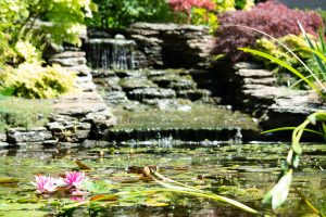 Landscaper in Cheshire