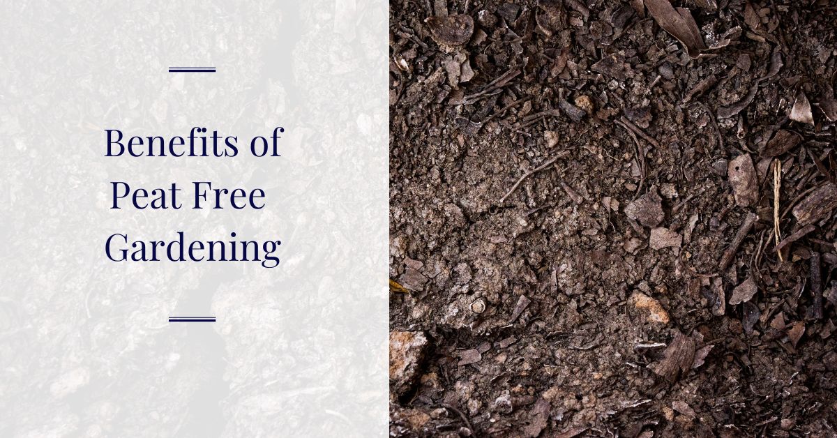 Peat Free Gardening