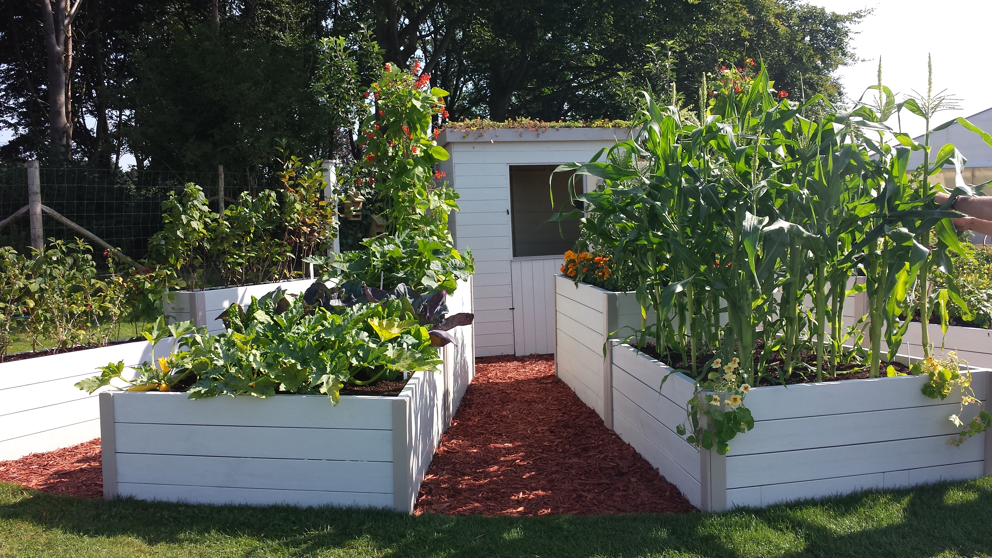 Food Garden