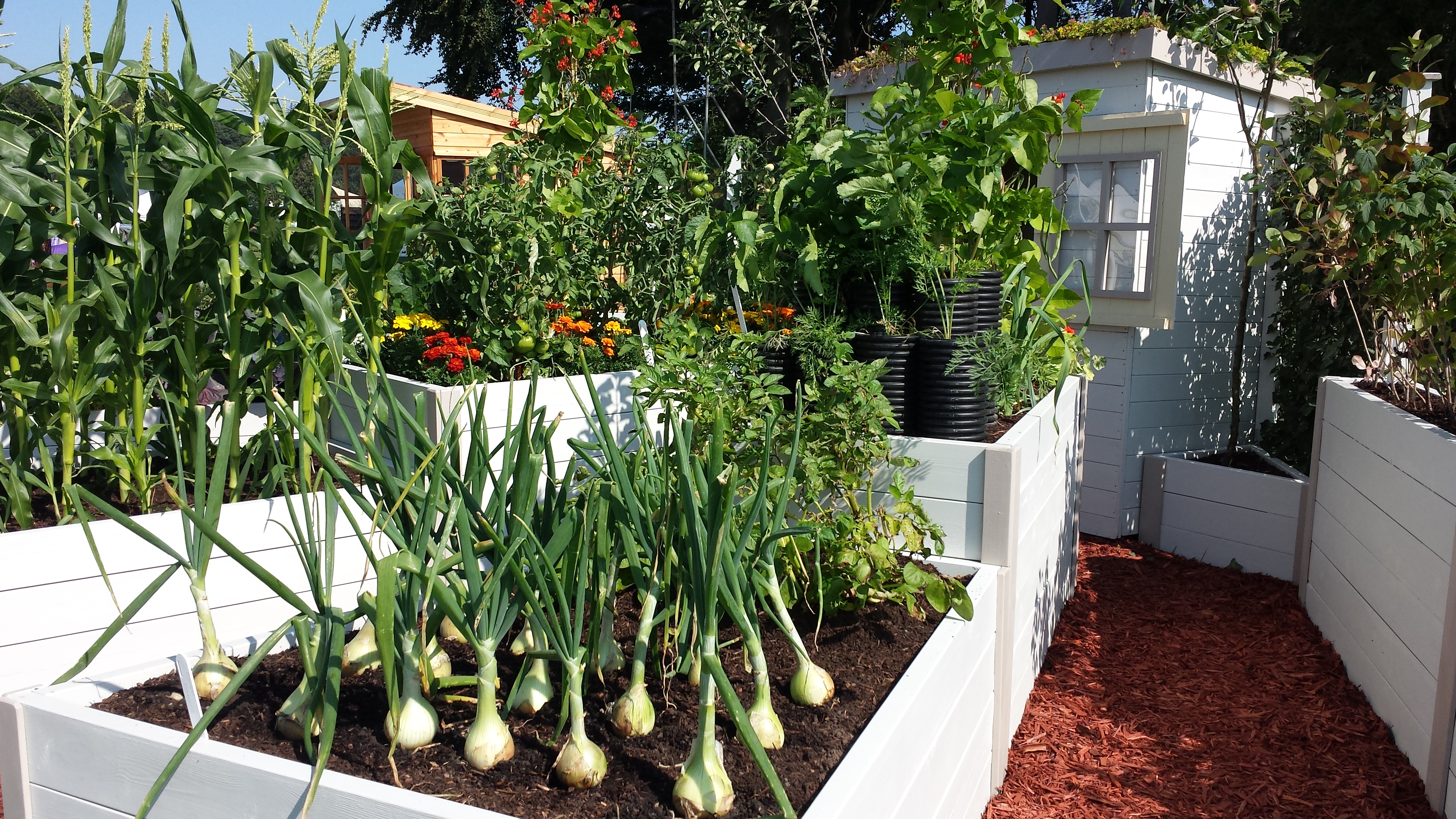 Food Garden