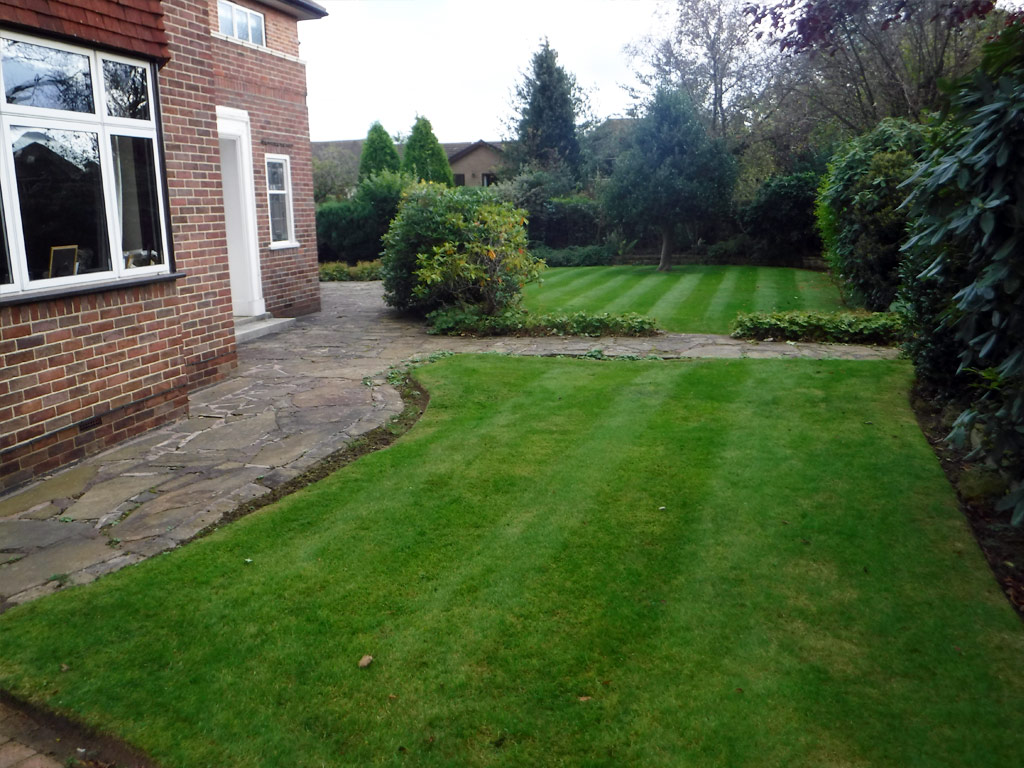 Professional Gardener in Swynnerton