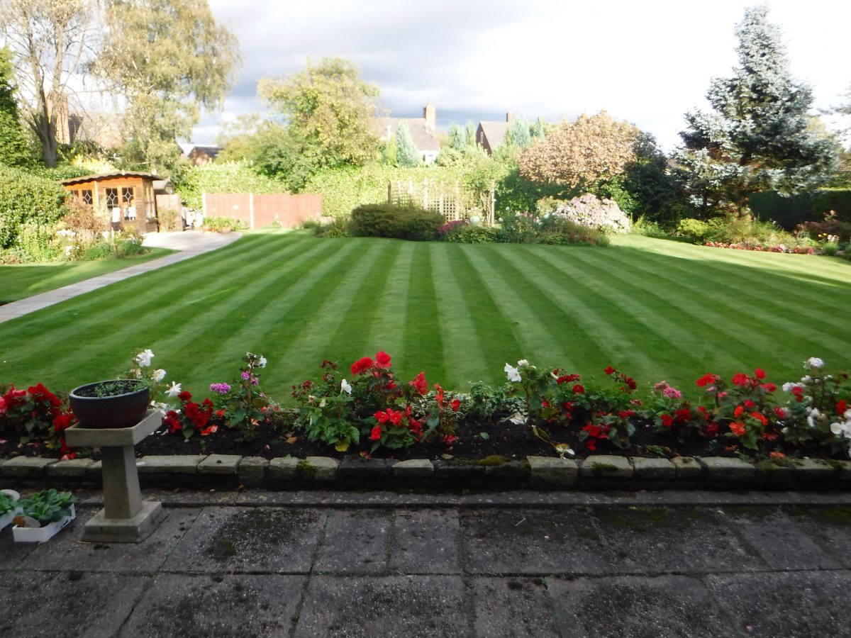 Professional Gardener in Biddulph