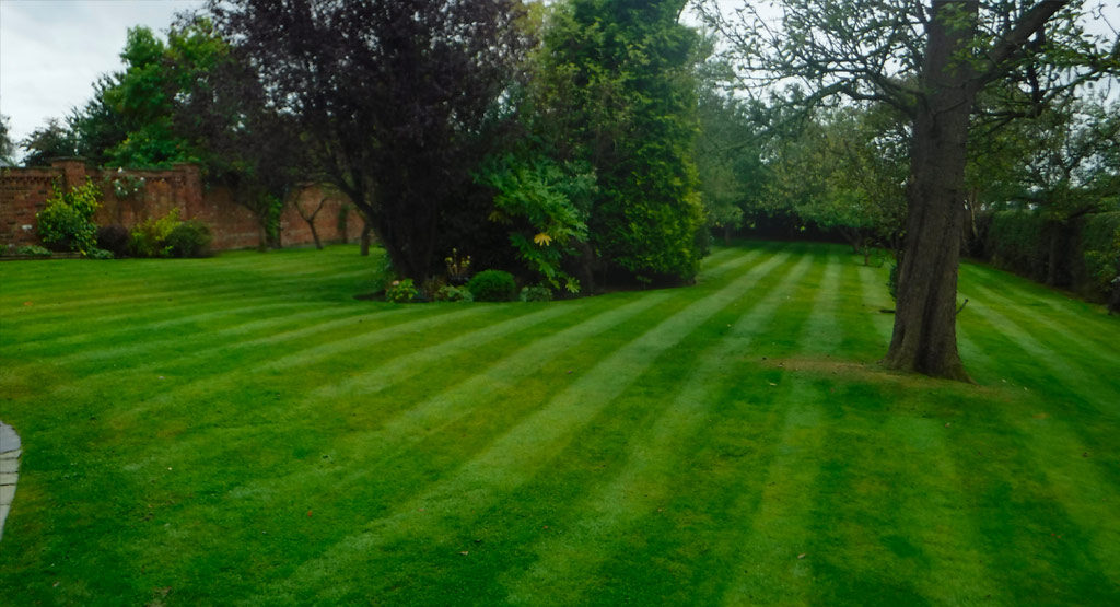 Professional Gardener in Market Drayton | Blue Iris Landscapes Professional Gardener in Market Drayton