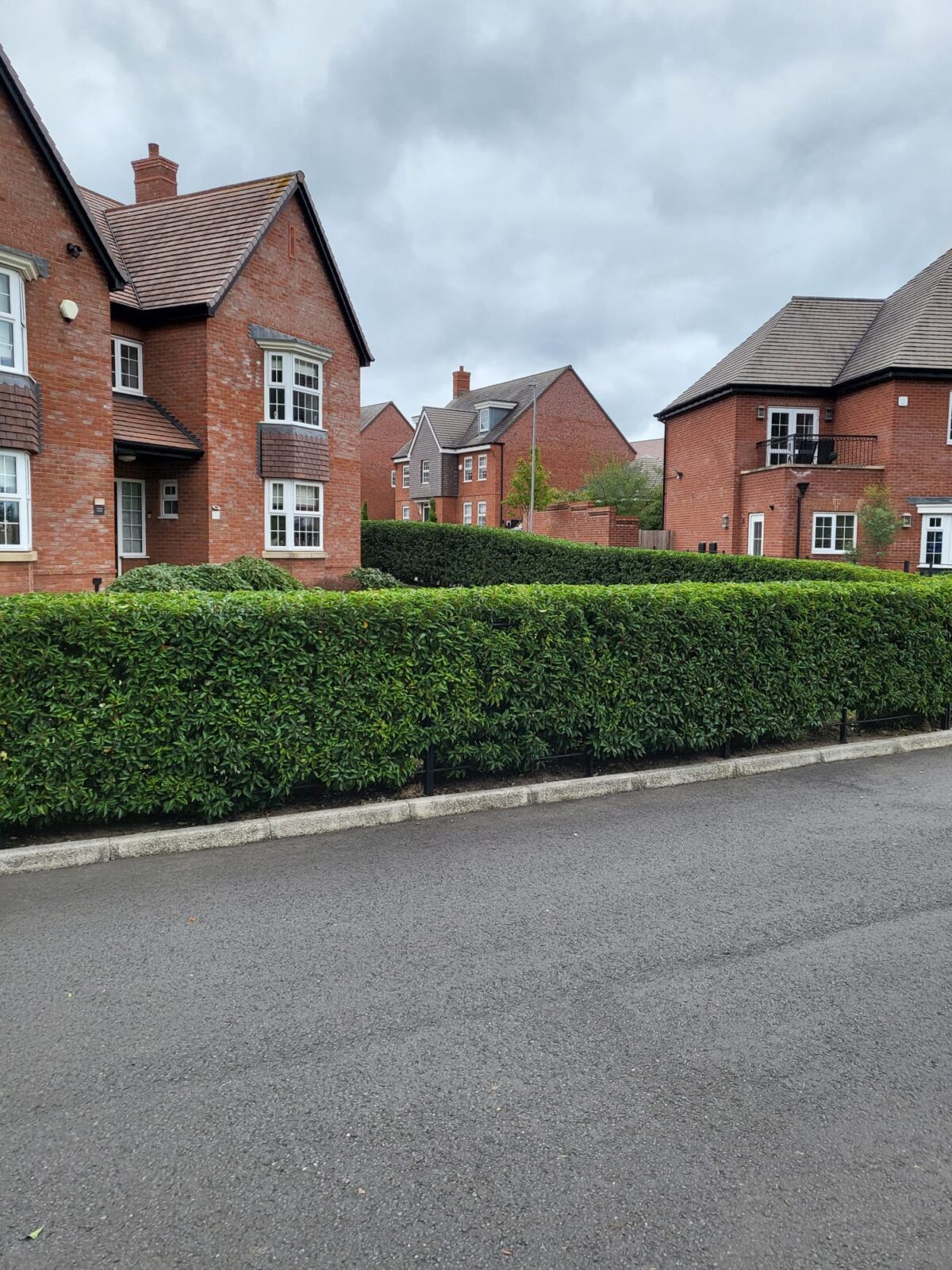 Hedge Cutting in Barlaston
