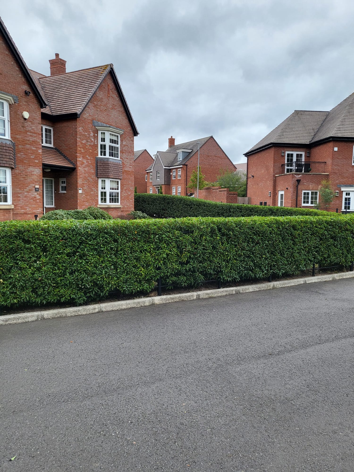 Hedge Barlaston | Blue Iris Landscapes Hedge Cutting in Barlaston