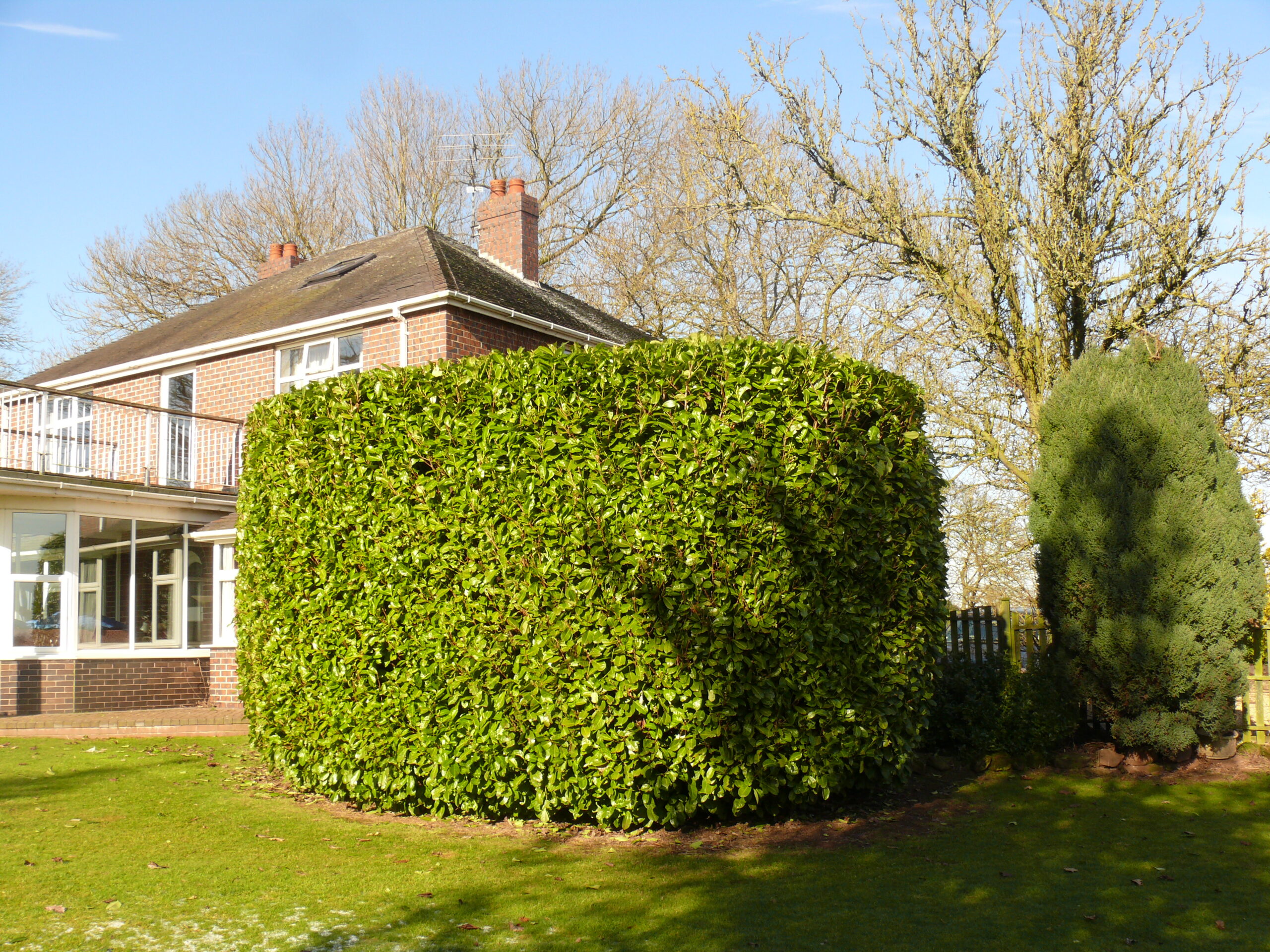 Gardener in Penkhull