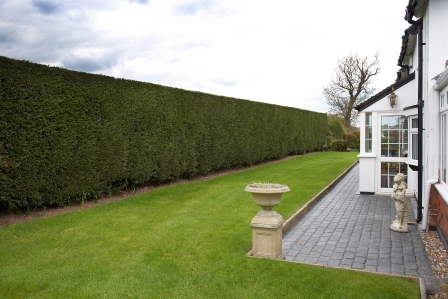 Gardener in Crewe