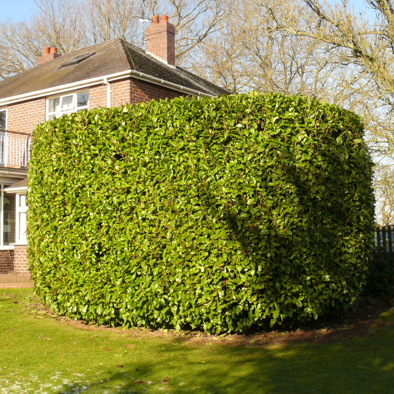Gardening Jobs for April