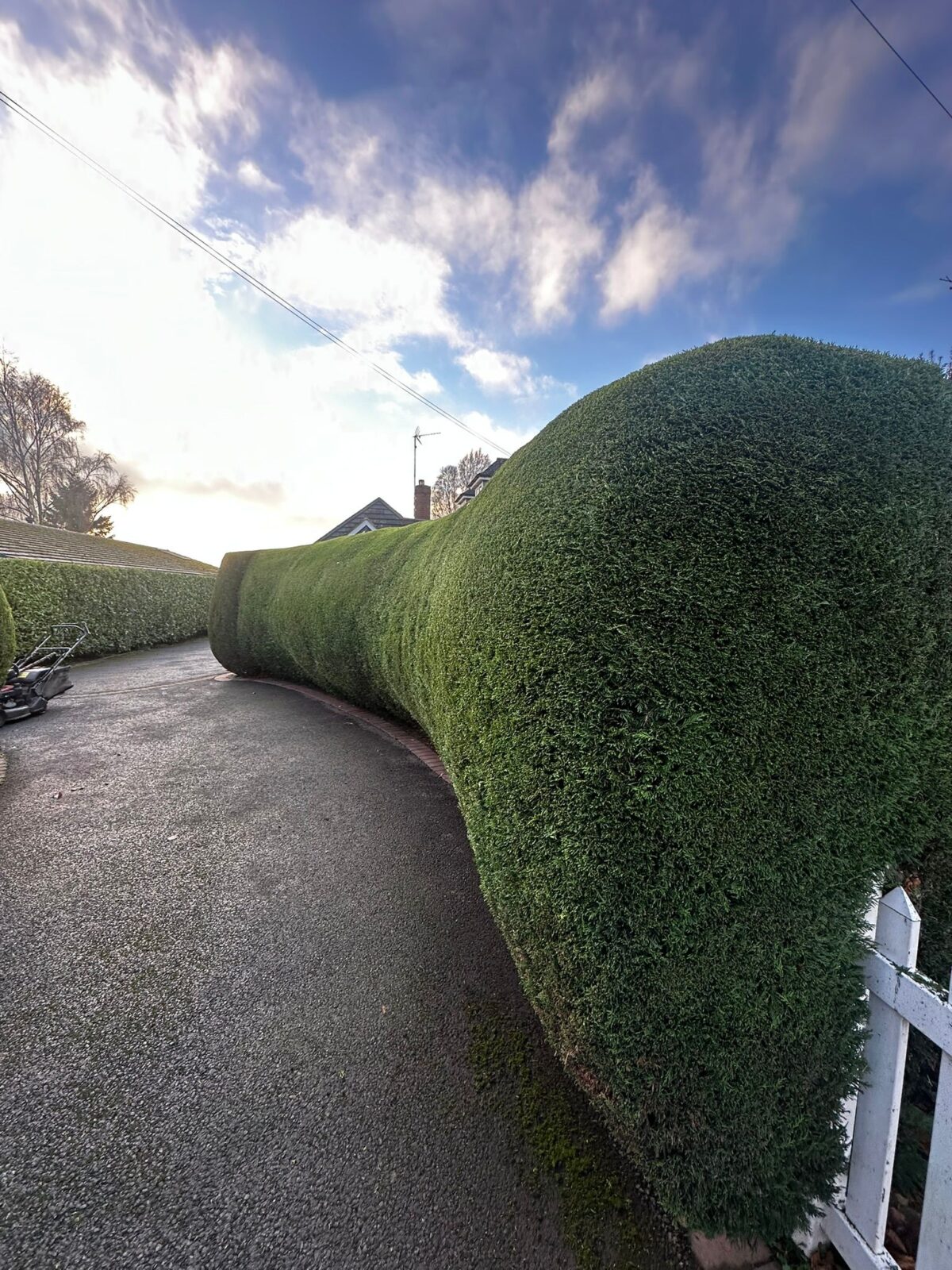 Hedge Cutting in Cheshire | Blue Iris Landscapes Hedge Cutting in Cheshire