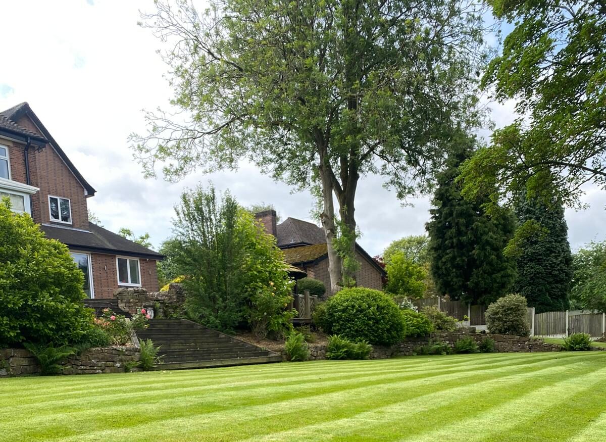 Gardener in Derbyshire