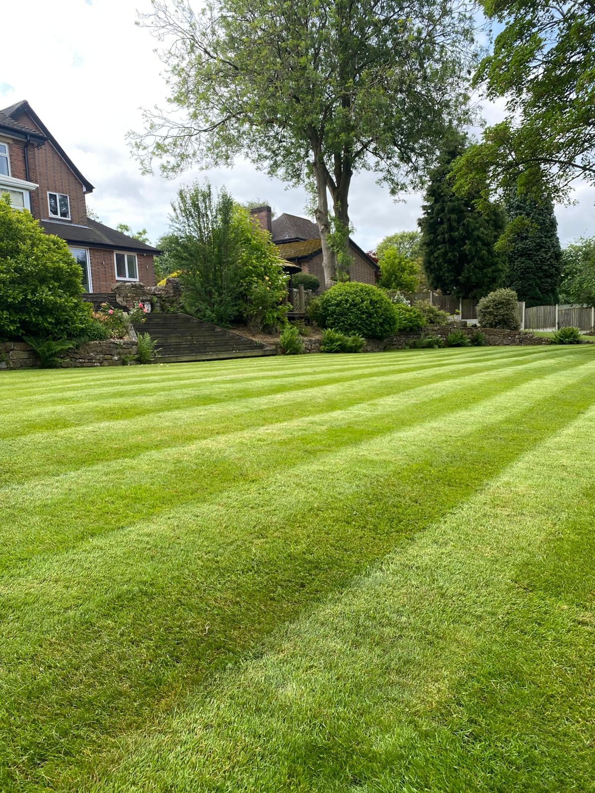 Gardener in Derbyshire