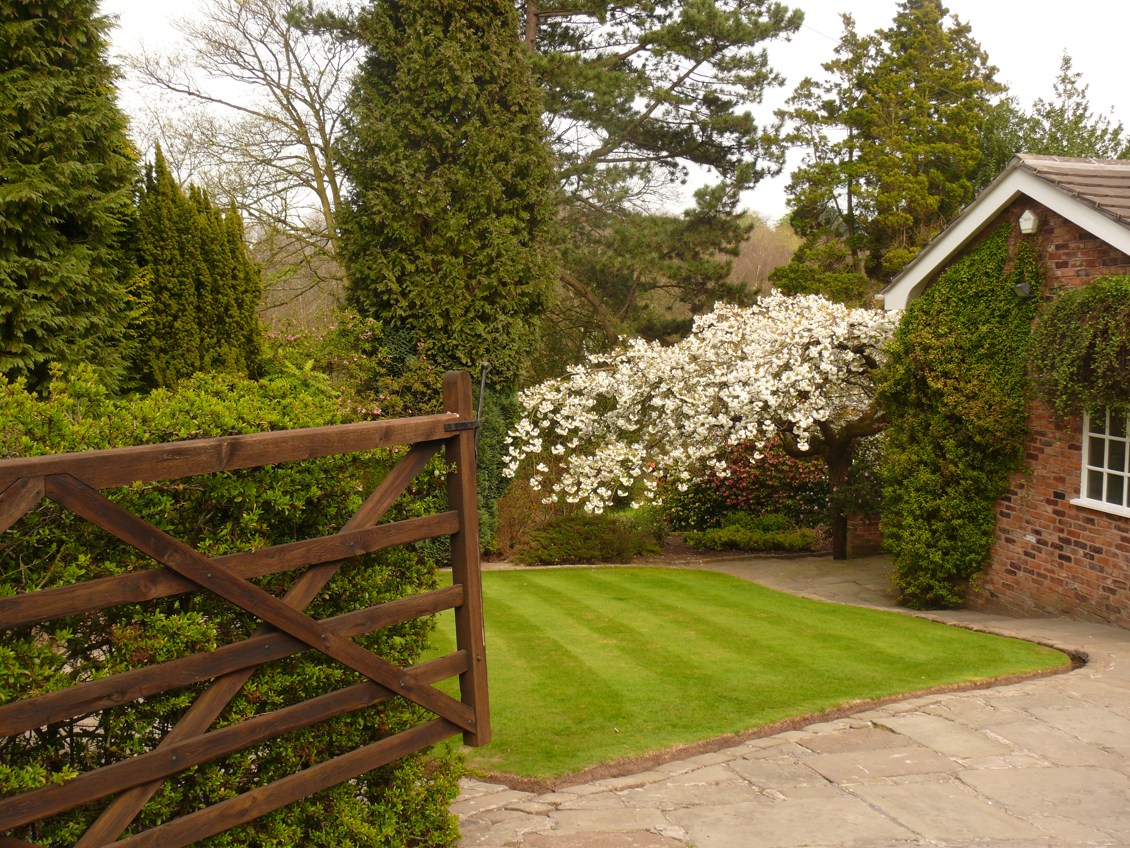 Professional Gardener in Cheshire