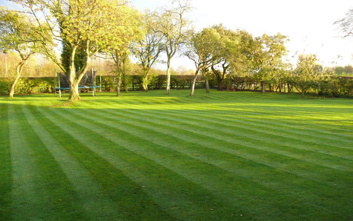 Gardener in Prestbury
