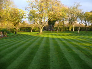 lawn - importance of autumn tidy ups