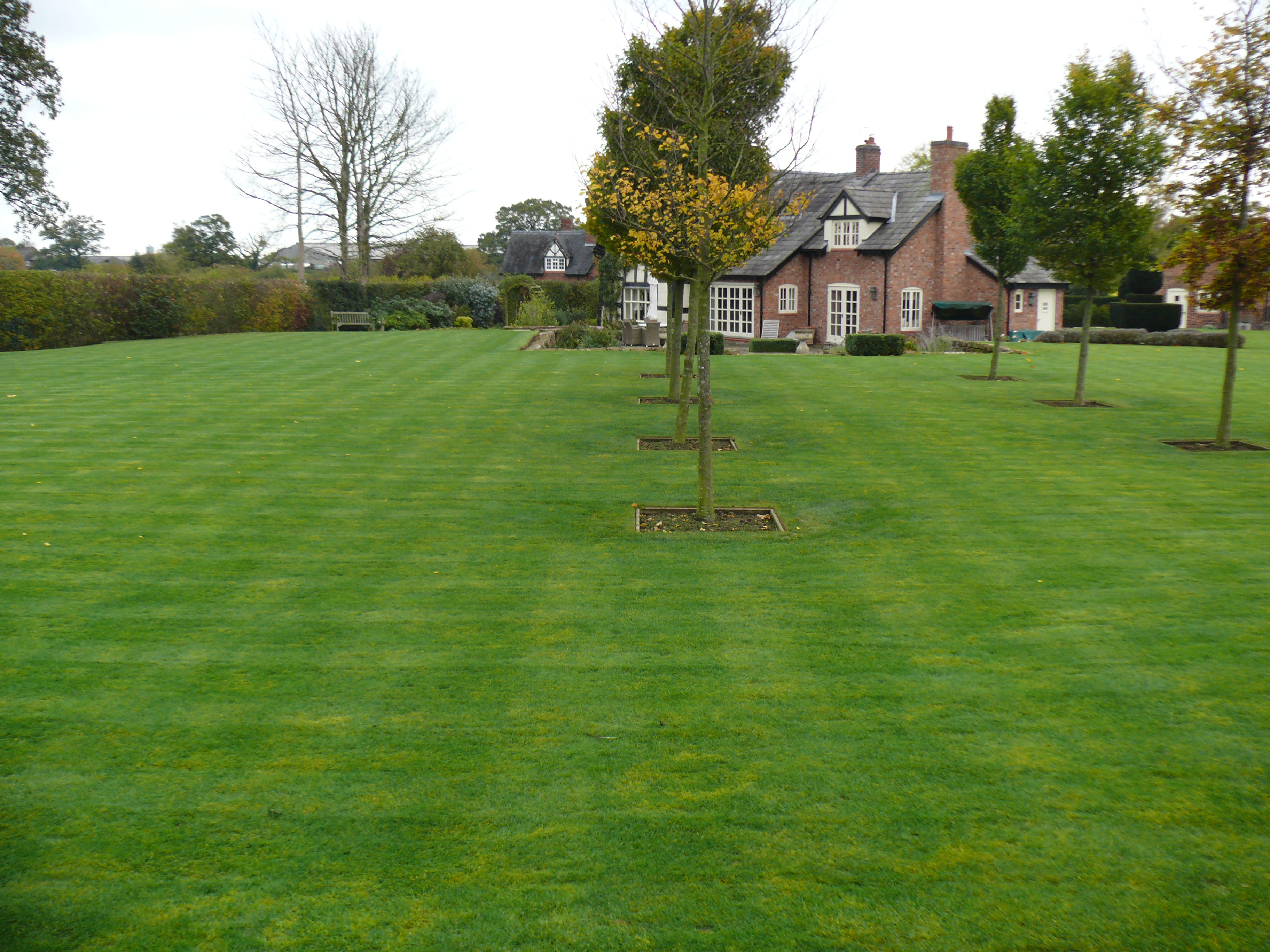 Lawn Scarification and Aeration
