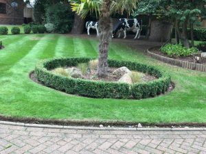 Professional Gardener in Stoke-on-Trent