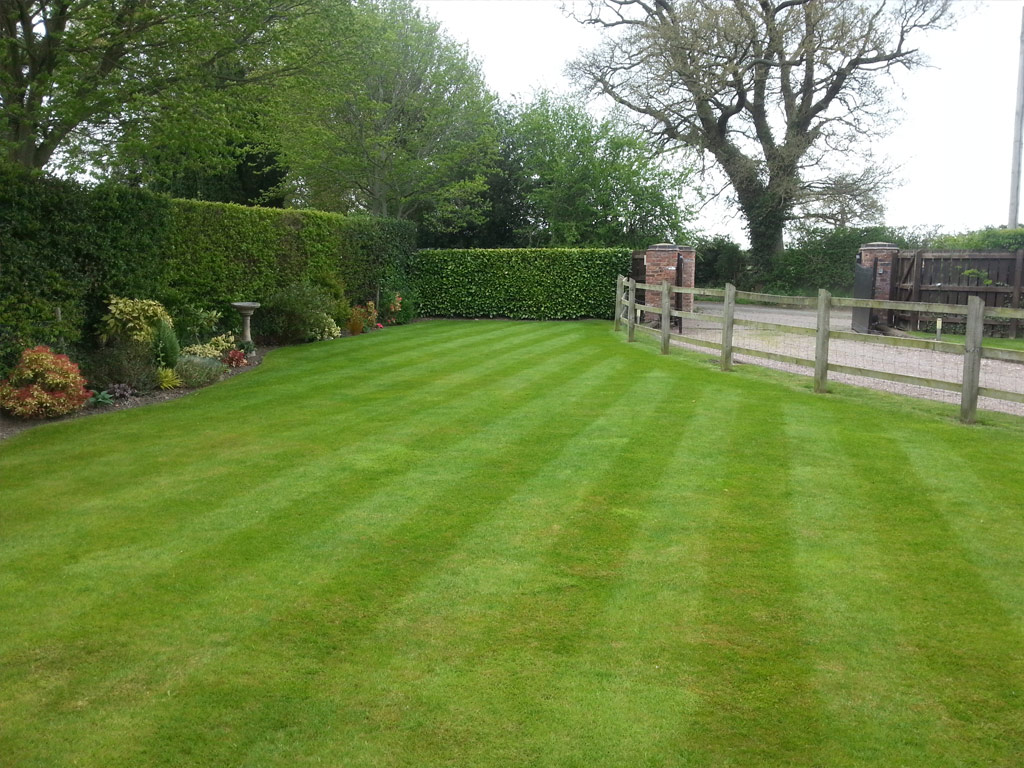 Professional Gardener in Timbersbrook