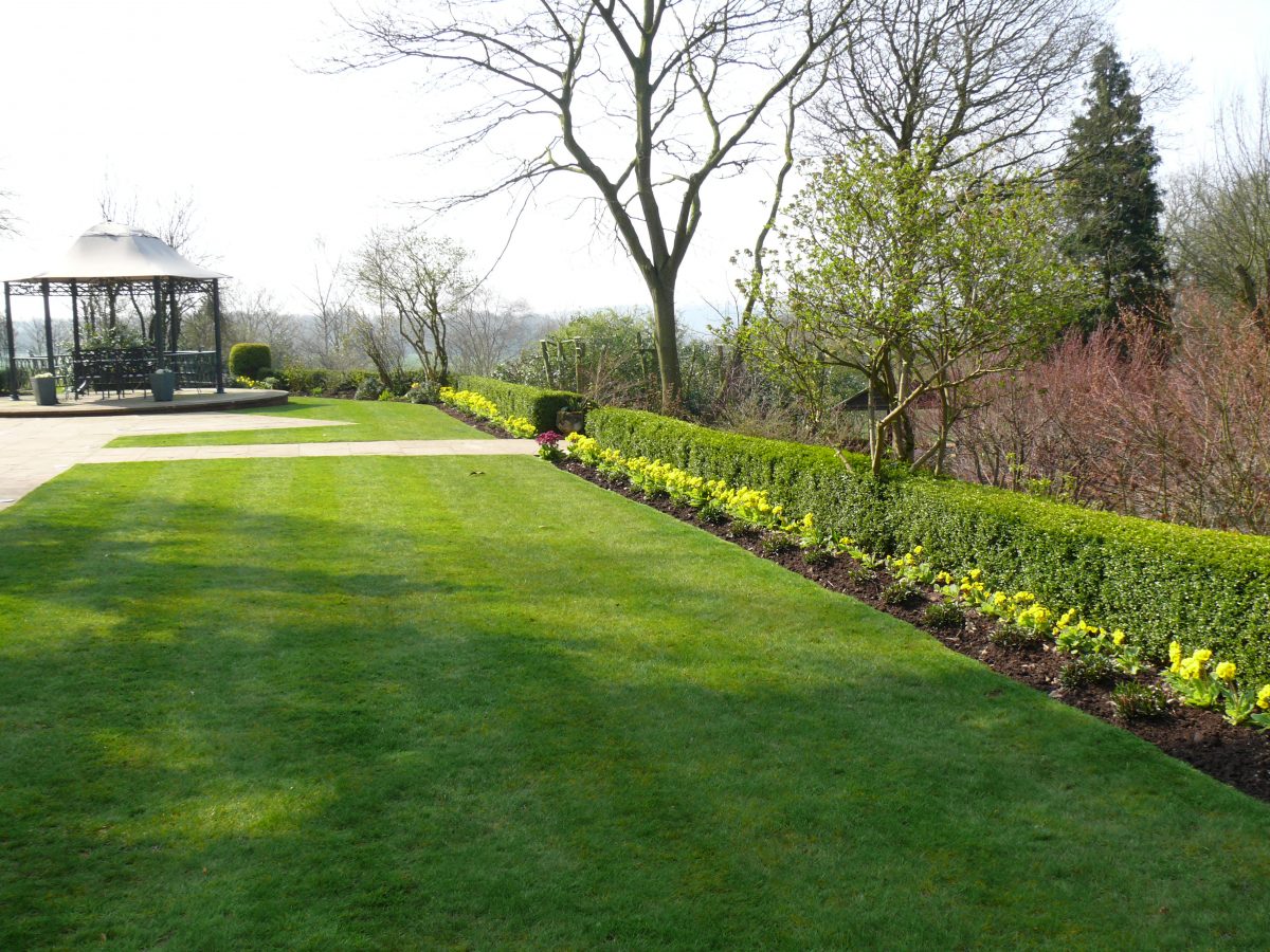 Lawn and Border Care