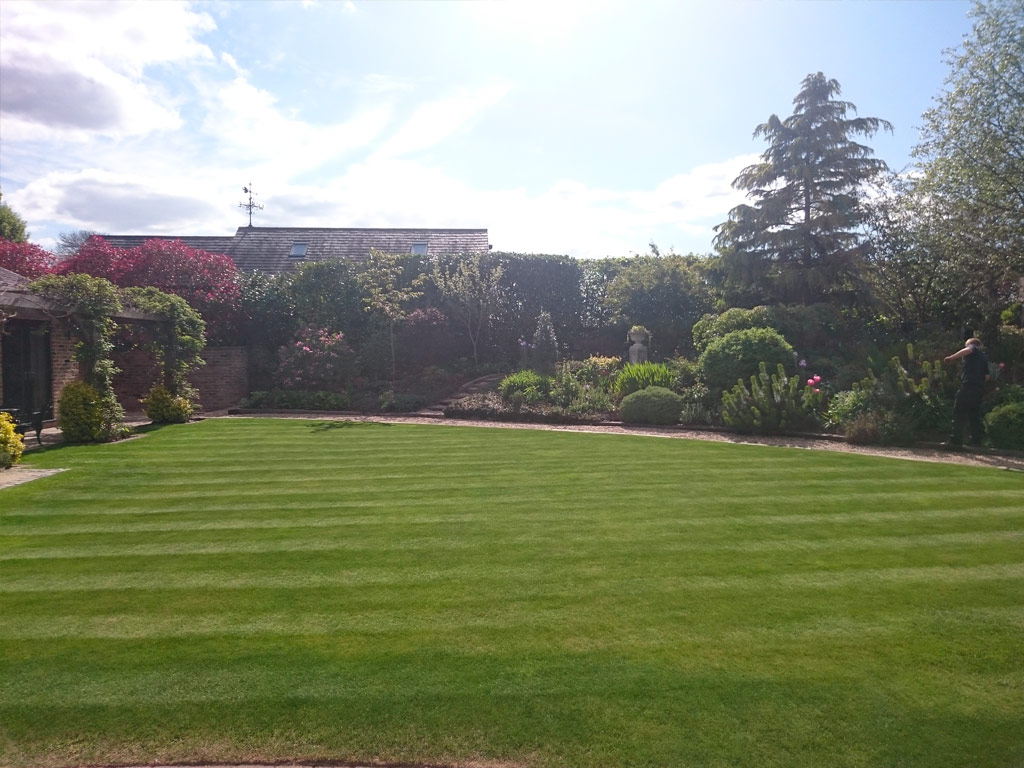 Professional Gardener in Alsager