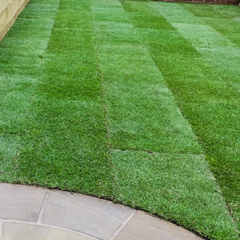 Landscaping Natural Turf