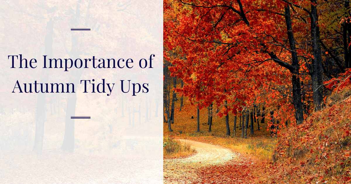 Importance of Autumn Tidy Ups