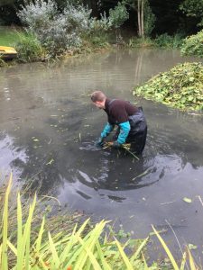 cleaning your pond 