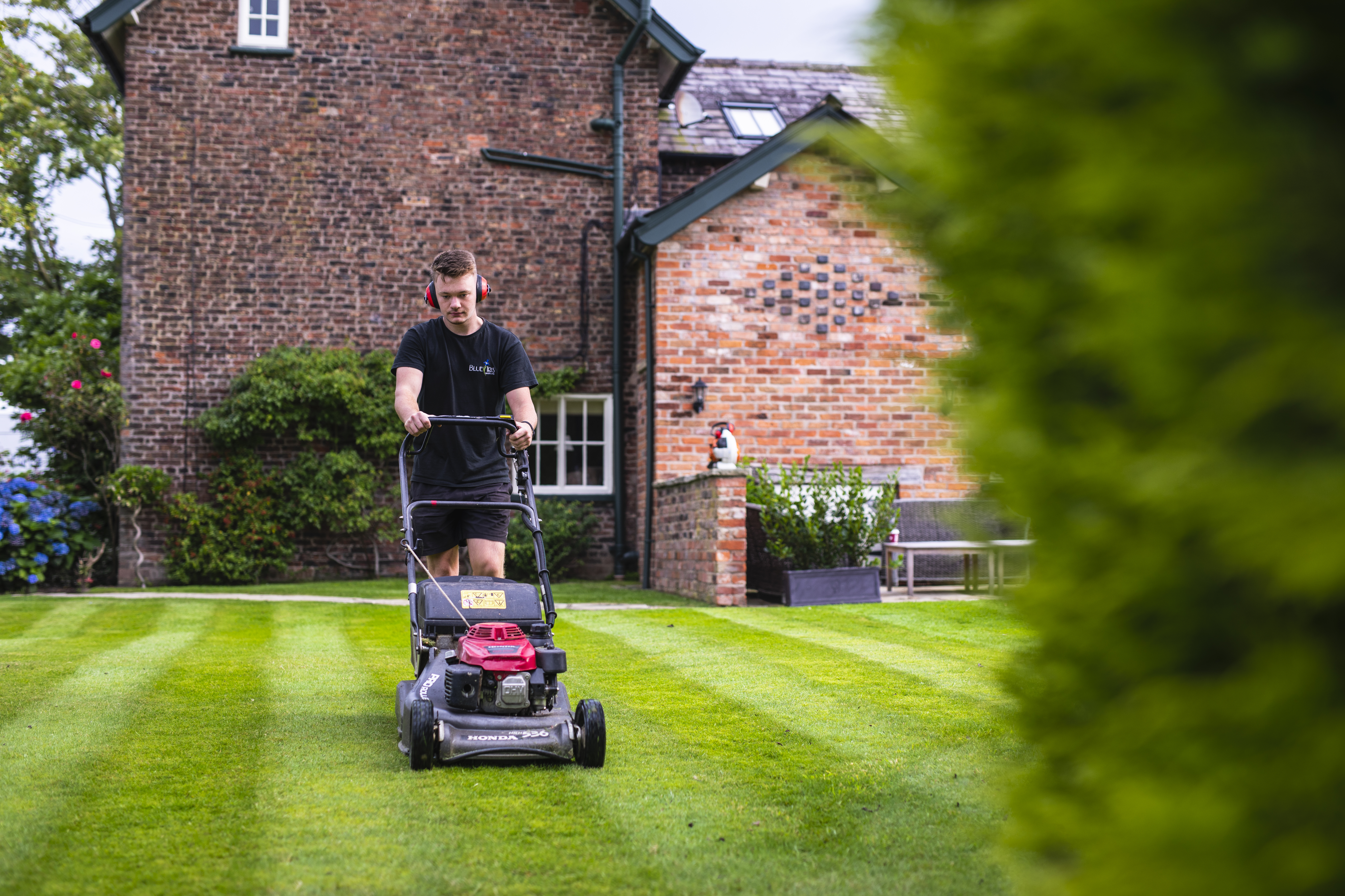 Gardener in Stafford