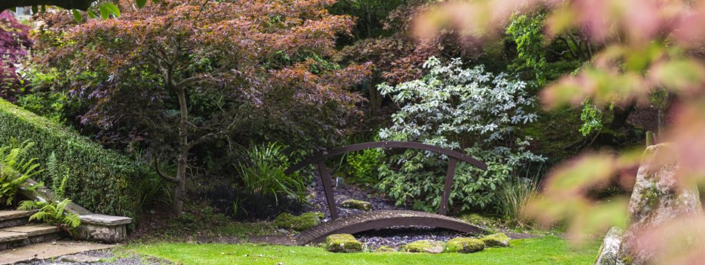 Blue Iris Landscapes Garden Maintenance and Landscaping