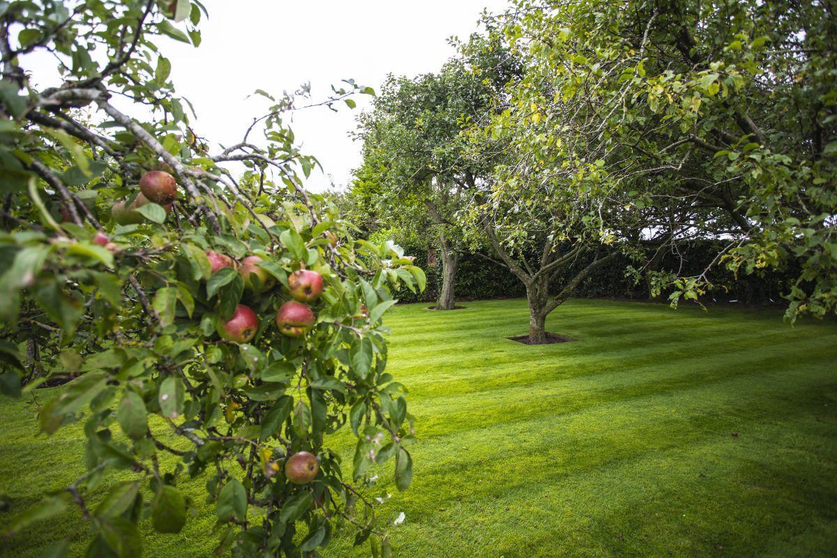 Gardener in Cheshire