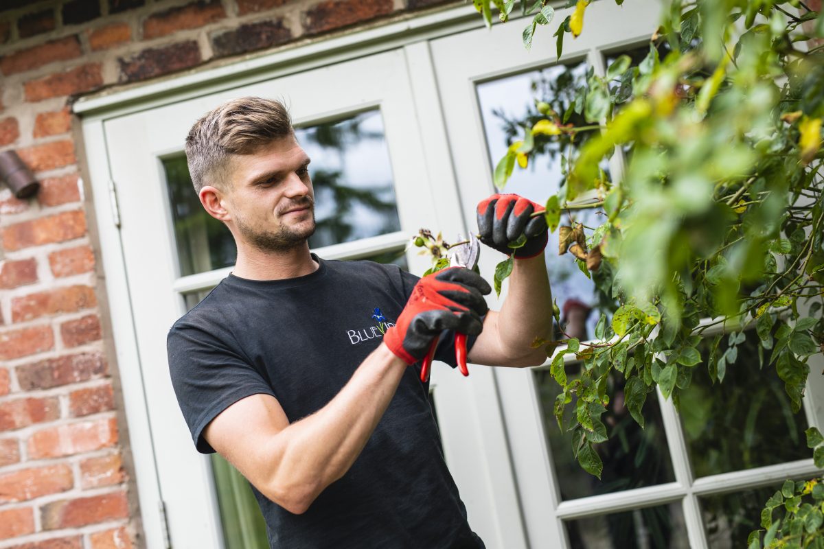 Gardener in Lightwood