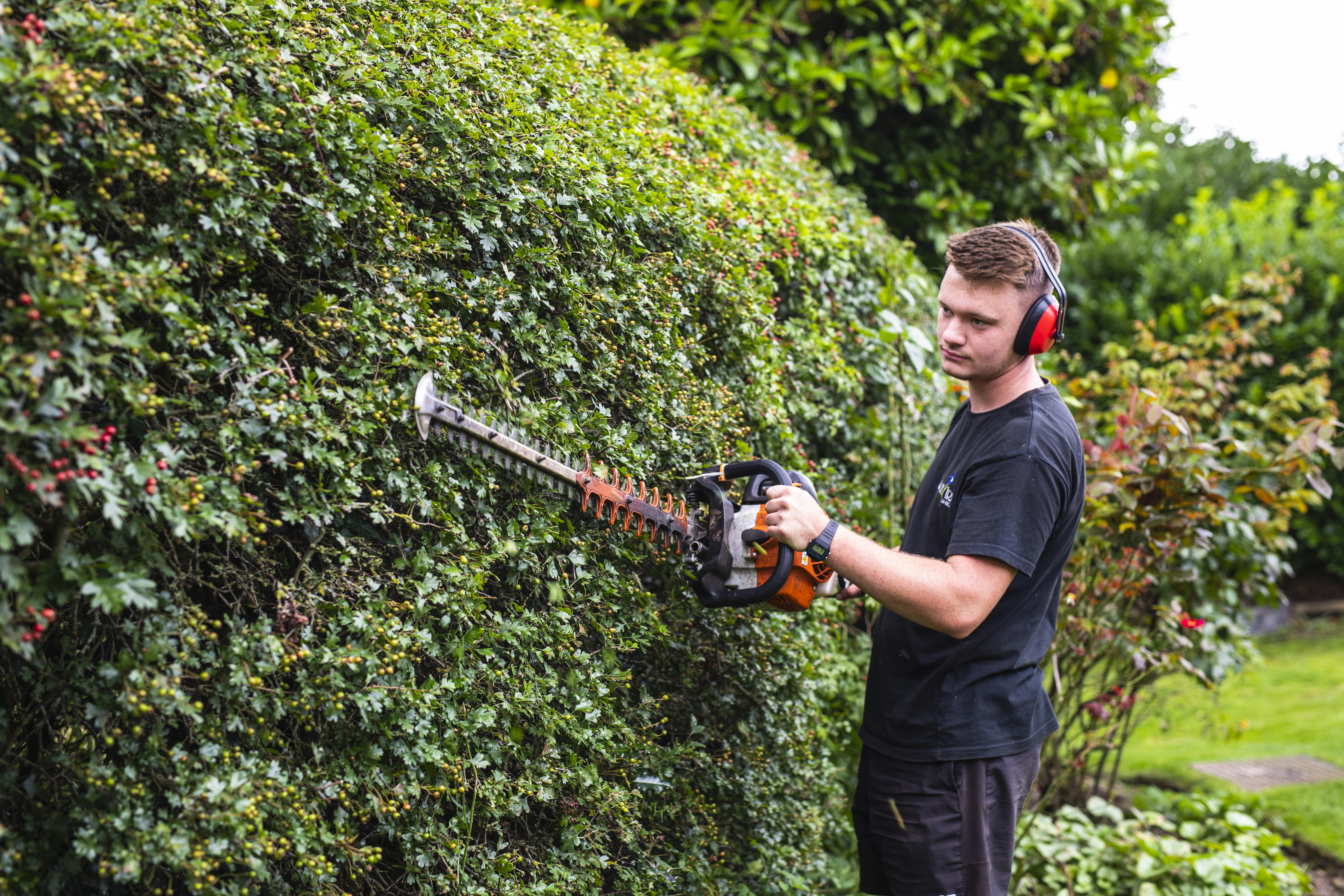 Stoke-on-Trent Gardener