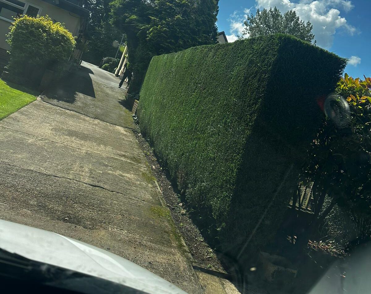 hedge cutting in Newcastle-Under-Lyme