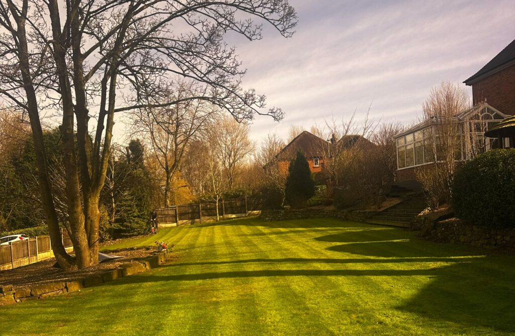 Gardener in Sneyd Green | Blue Iris Landscapes Gardener in Sneyd Green