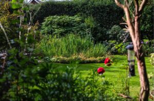 landscaper in stoke-on-trent