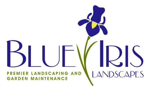 Blue Iris Landscapes