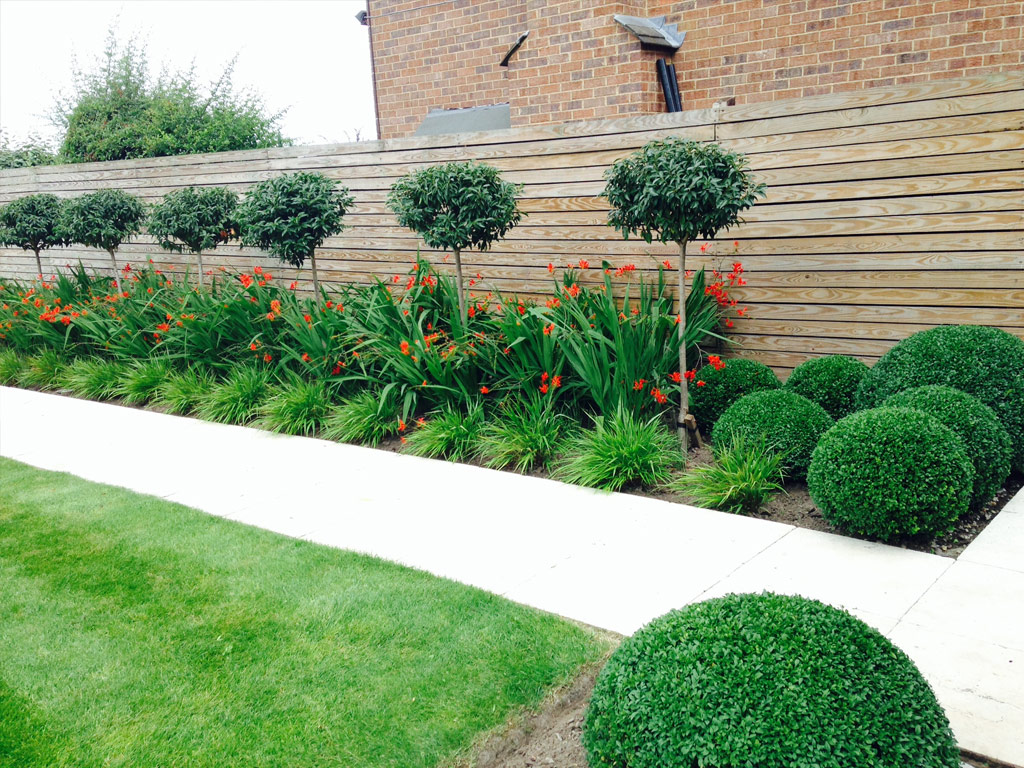 Garden Maintenance - Border Care and Topiary Maintenance
